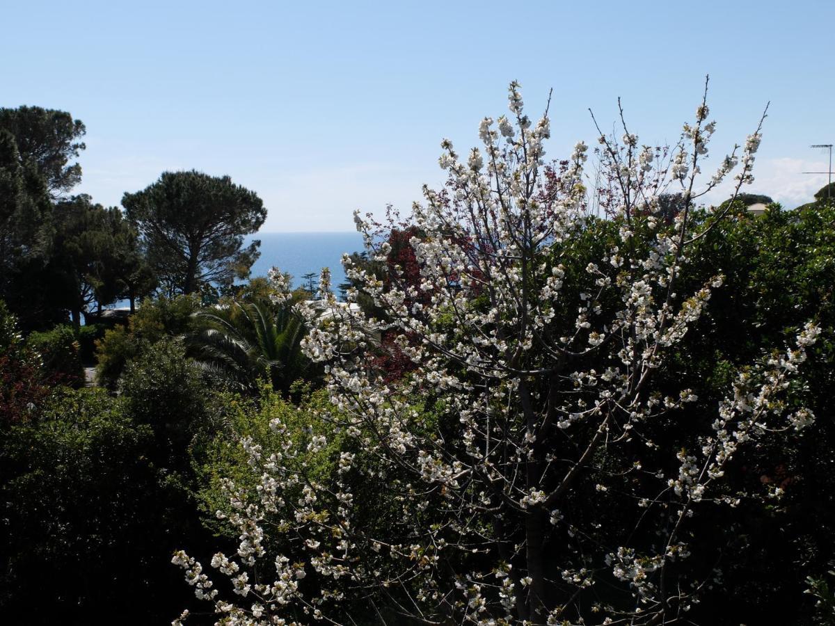 B&B Verde Sul Mare Arenzano Exteriér fotografie